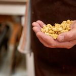 sion school worthing allergen free kitchen